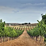 Tudanca-aranda Ii 2*