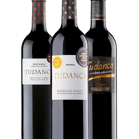 Tudanca-aranda Ii Fuentespina
