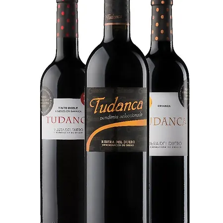 Tudanca-aranda Ii Hotel