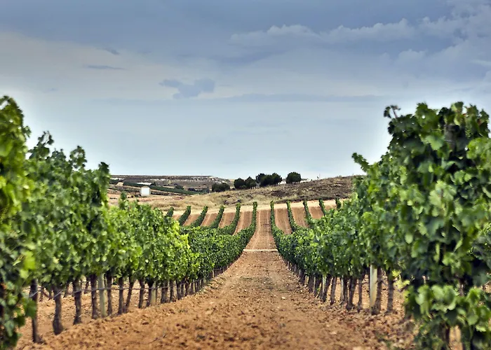 Tudanca-aranda Ii 2*