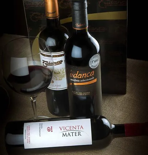 호텔 Tudanca-aranda Ii 2*